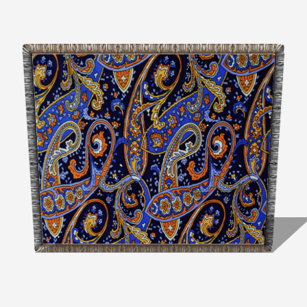 Fringe Paisley Woven Throw - 60" x 50"